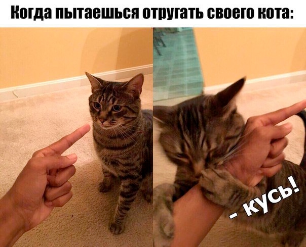 Так себе картинки 01.10.25