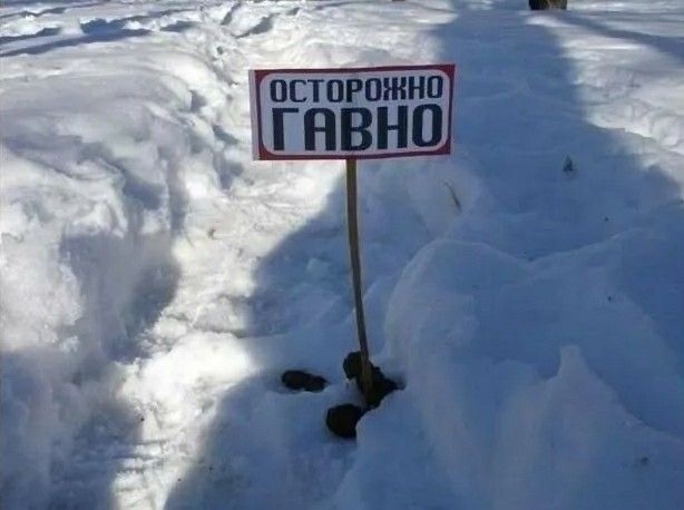 Прикольные и просто красивые картинки 16.01.2026