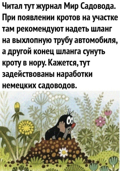Так себе картинки 25.01.26