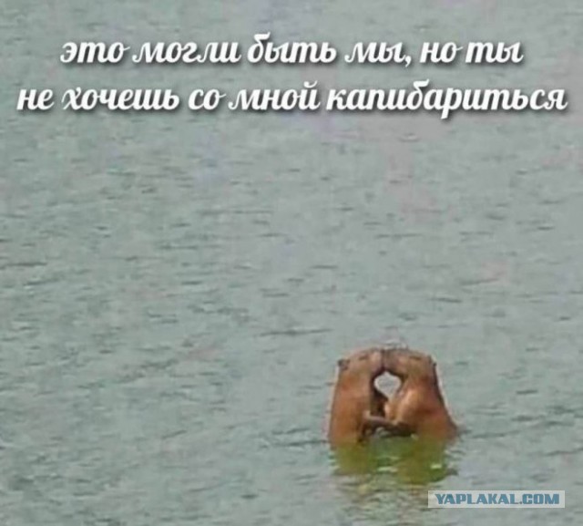 Картинки про отношения М и Ж