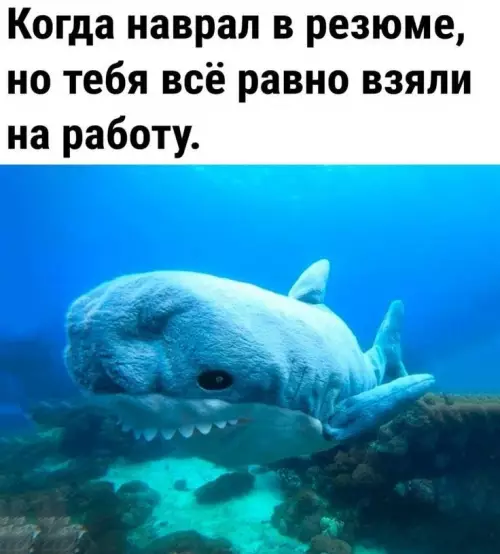 Картиночки, баянчики 23 февраля