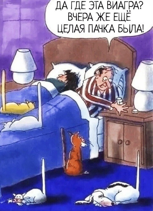 Воскресные картинки