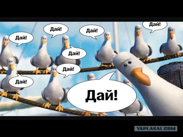 Зеленский вызвался помочь Ближнему Востоку в обмен на перемирие с Россией