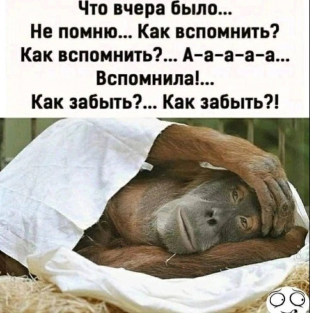 Берегите мозги