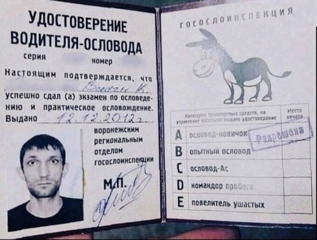 Затрехсотился