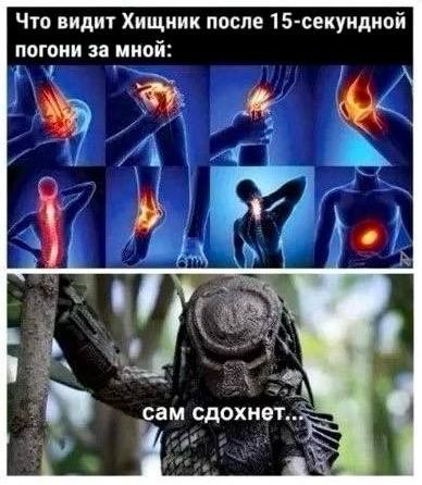 Картинки для деградации 219 (разной степени свежести)