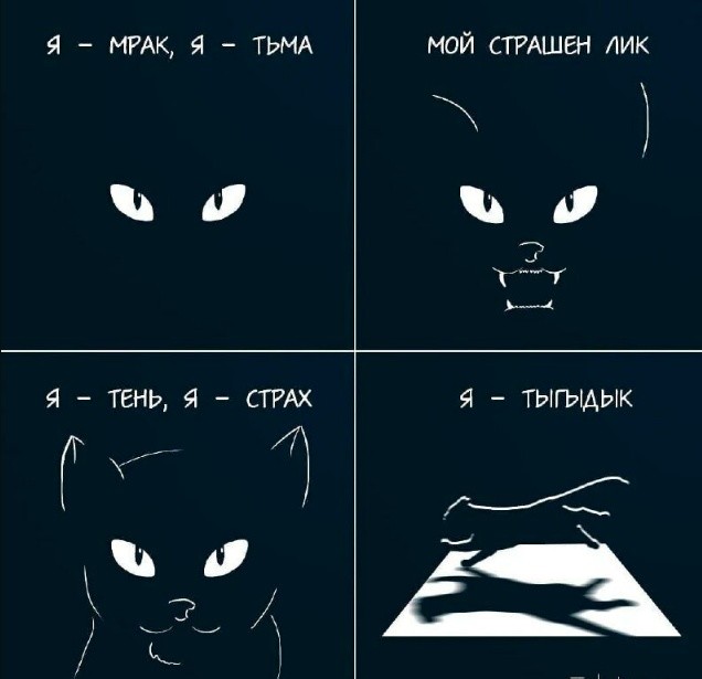 К котовторнику: подборка картинок-баянов с котиками и про котиков. Выпуск 40.