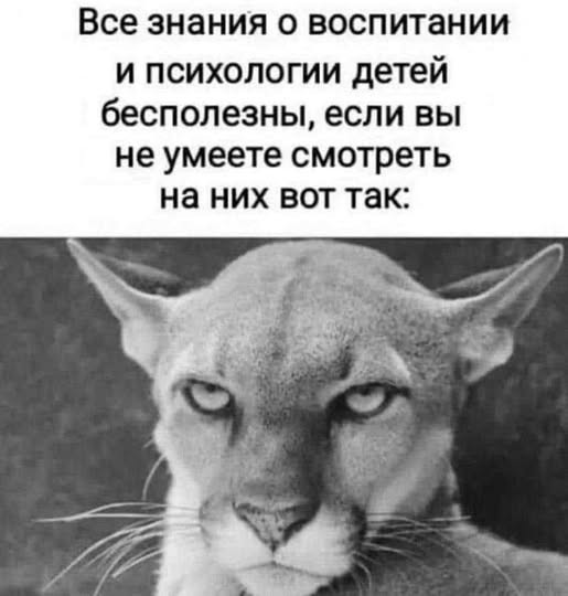 Выражение лица матери - бесценно