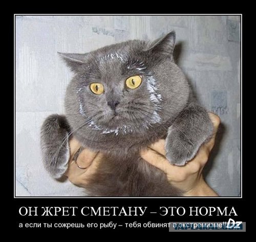 Сезон фонтанов открыт?