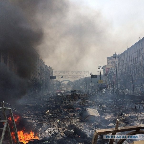 «Беркут» нашел на баррикадах доказательство