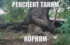 Немного смешных картинок из сети