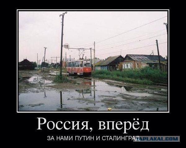 Размышлений про курс рубля, политику и еду