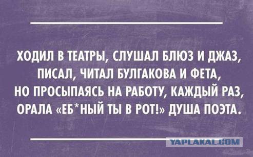 Смешные комментарии из социальных сетей 19.11.14