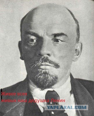 Кобейн, спасибо что живой