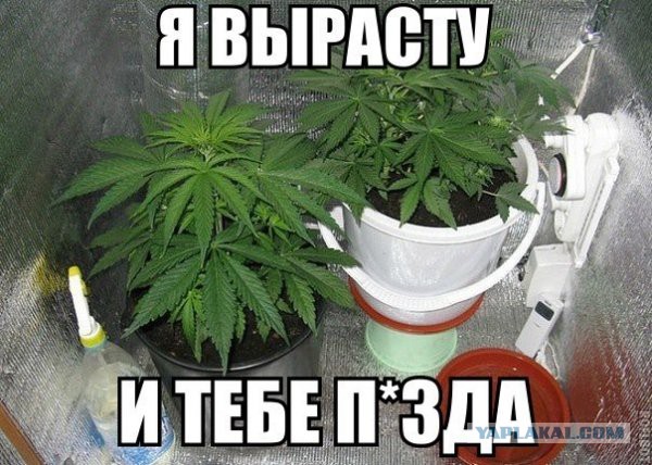 Делаем кофейный столик своими руками.