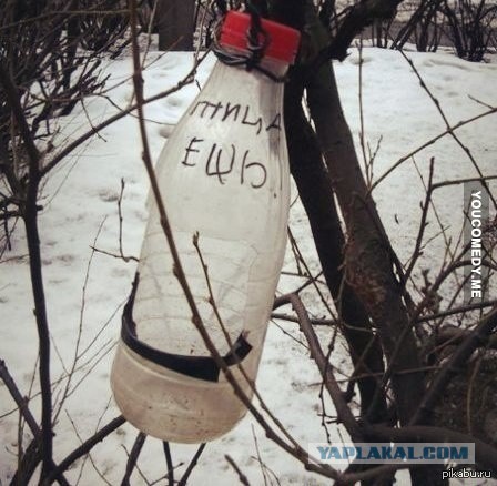 Веселые картинки