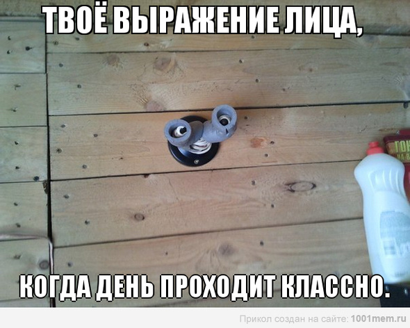Упоротость вокруг нас