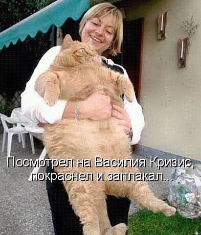 Кризис жизни