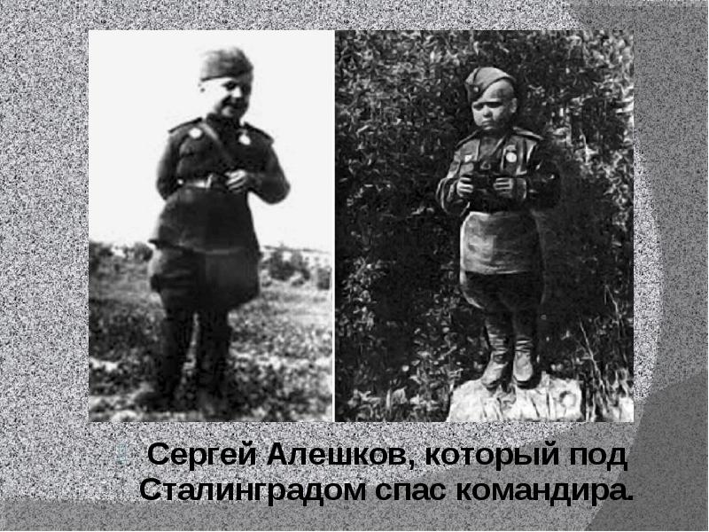 Сергей алешков солдатик биография и личная жизнь