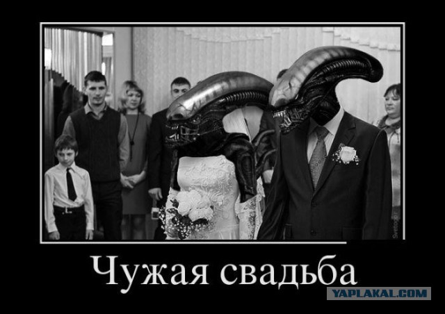 Левел ап в свадебном видео.