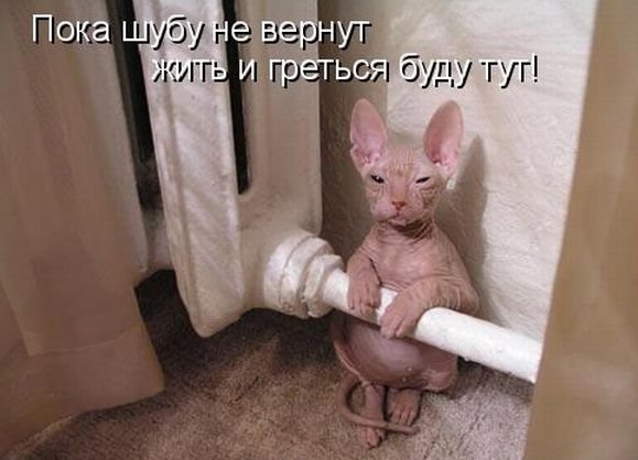 Обидели котейку? Получите, распишитесь!