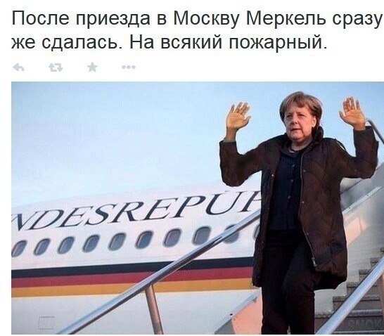 Солянка политическая #5