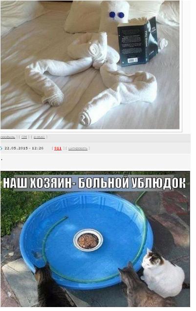 Пятничные картинки