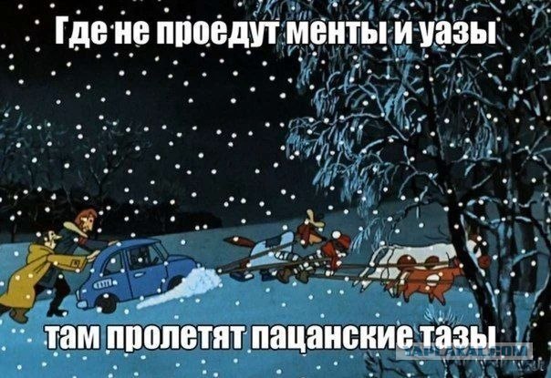 Низкий таз радует глаз