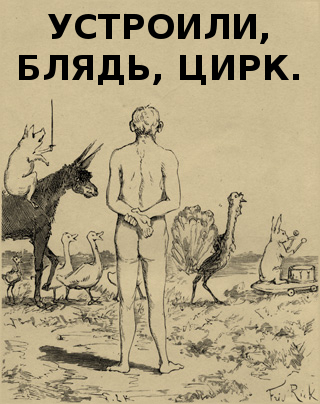 Подборка картинок из ВК