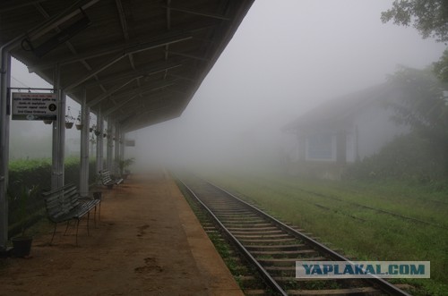 Самостоятельное путешествие в Шри-Ланку
