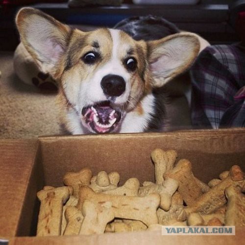 Подборка картинок