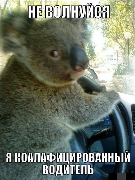 Подборка картинок 24.02.16