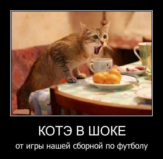 Подборка интересных и веселых картинок