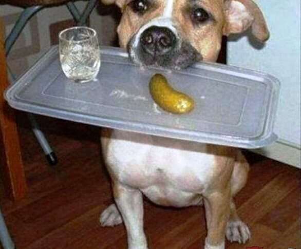 Подборка интересных и веселых картинок