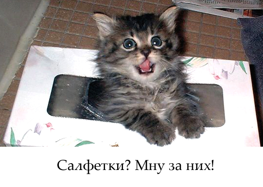 Вторничный котомёт!
