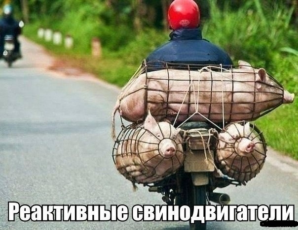 Подборка интересных и красивых фото