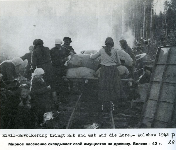 Волховский фронт. 1942. Взгляд с той стороны.