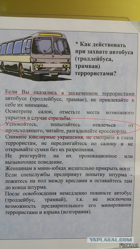 Подборка прикольных и веселых картинок