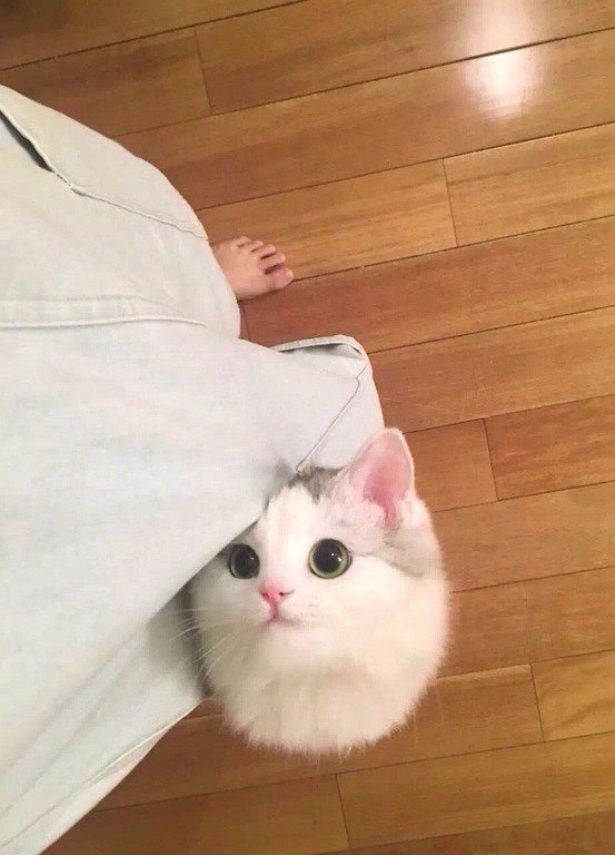 Прикольные картинки
