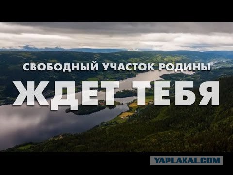 Как я бросил ругать Путина