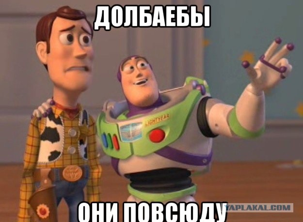 8250 идиотов