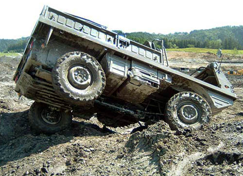 Хребет Pinzgauer