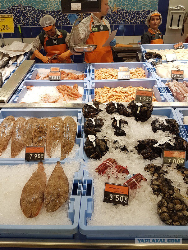 Настоящая Испания изнутри: экономим на продуктах питания, как можем
