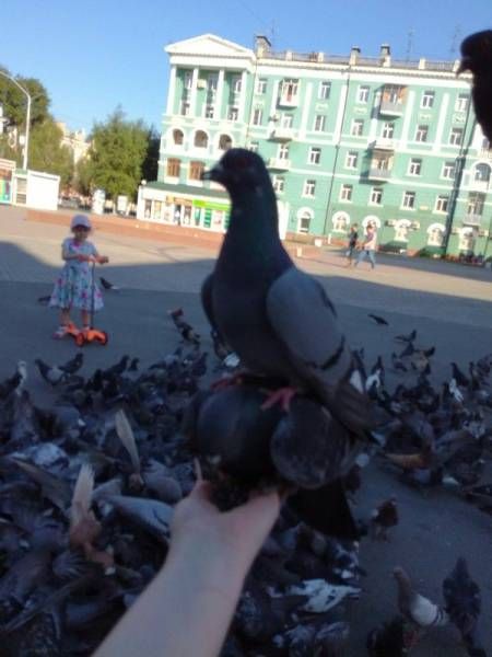 Подборка интересных и веселых картинок