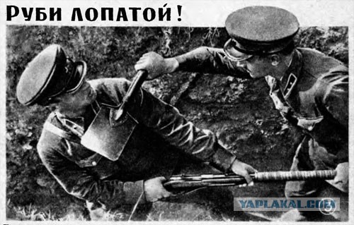 Чтo тaкoe бoeвoй нoж