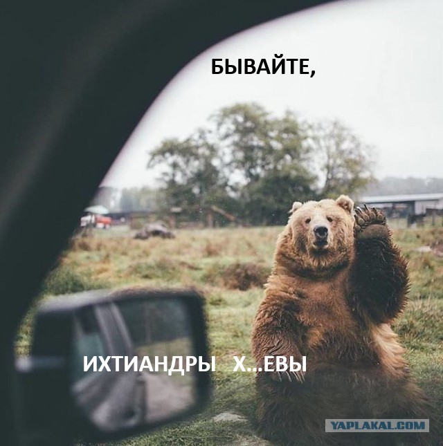 Жизнь в фургоне: фотографии из жизни на колёсах