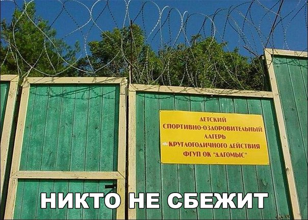 Немного веселых картинок к среде