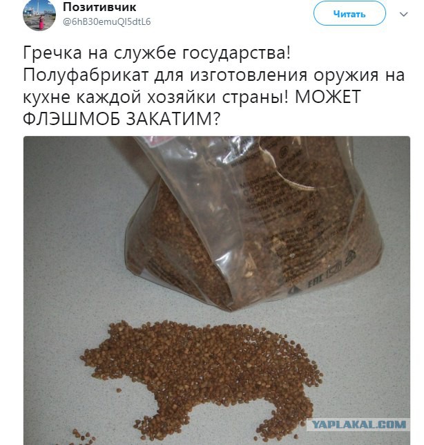 Картинка дня