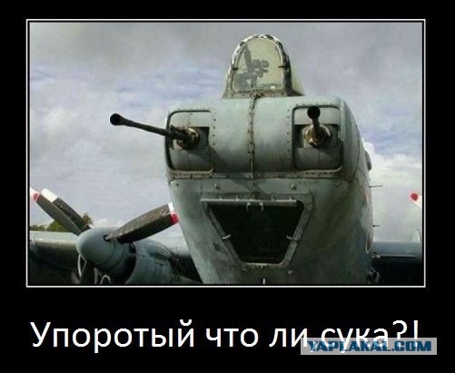 Минздрав обвинил мужчин в демографическом кризисе
