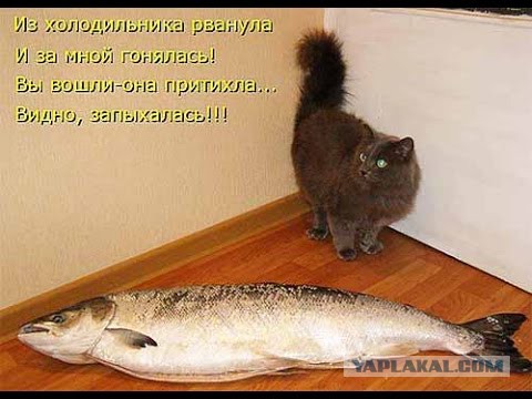 В России со следующего года ограничат рыбалку на удочку